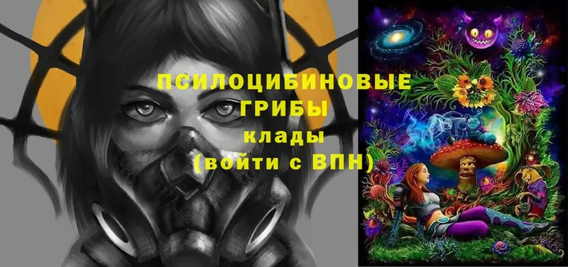 сколько стоит  Калуга  Псилоцибиновые грибы Magic Shrooms 